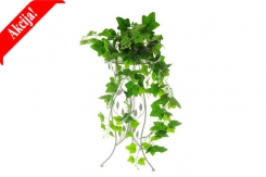 005 veštačke lozice